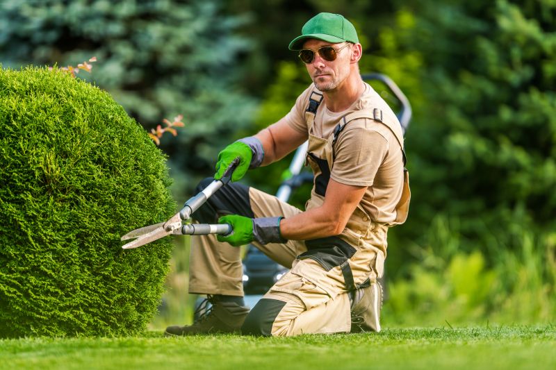 Hedge Removal detail